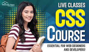 CSS Online Training