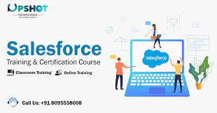 Salesforce Developer Online Training and Certification Course