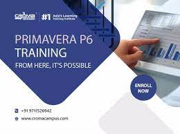 Primavera P6  Training