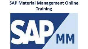 SAP MM Training – in Plain English